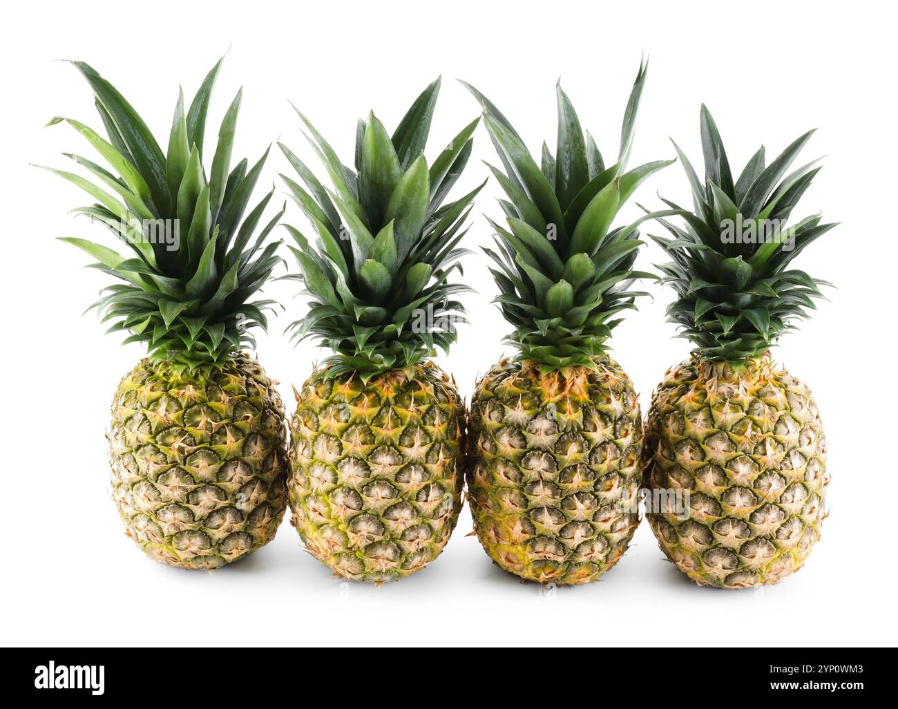 Many fresh ripe pineapples isolated on white Stock Photo