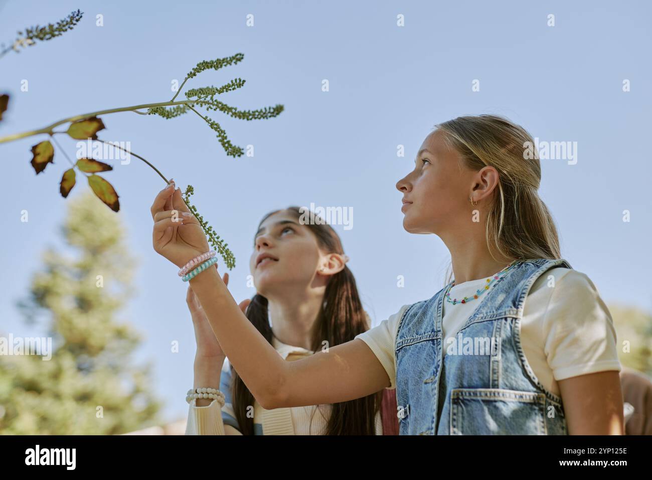 Biology class teen plant hi-res stock photography and images - Alamy