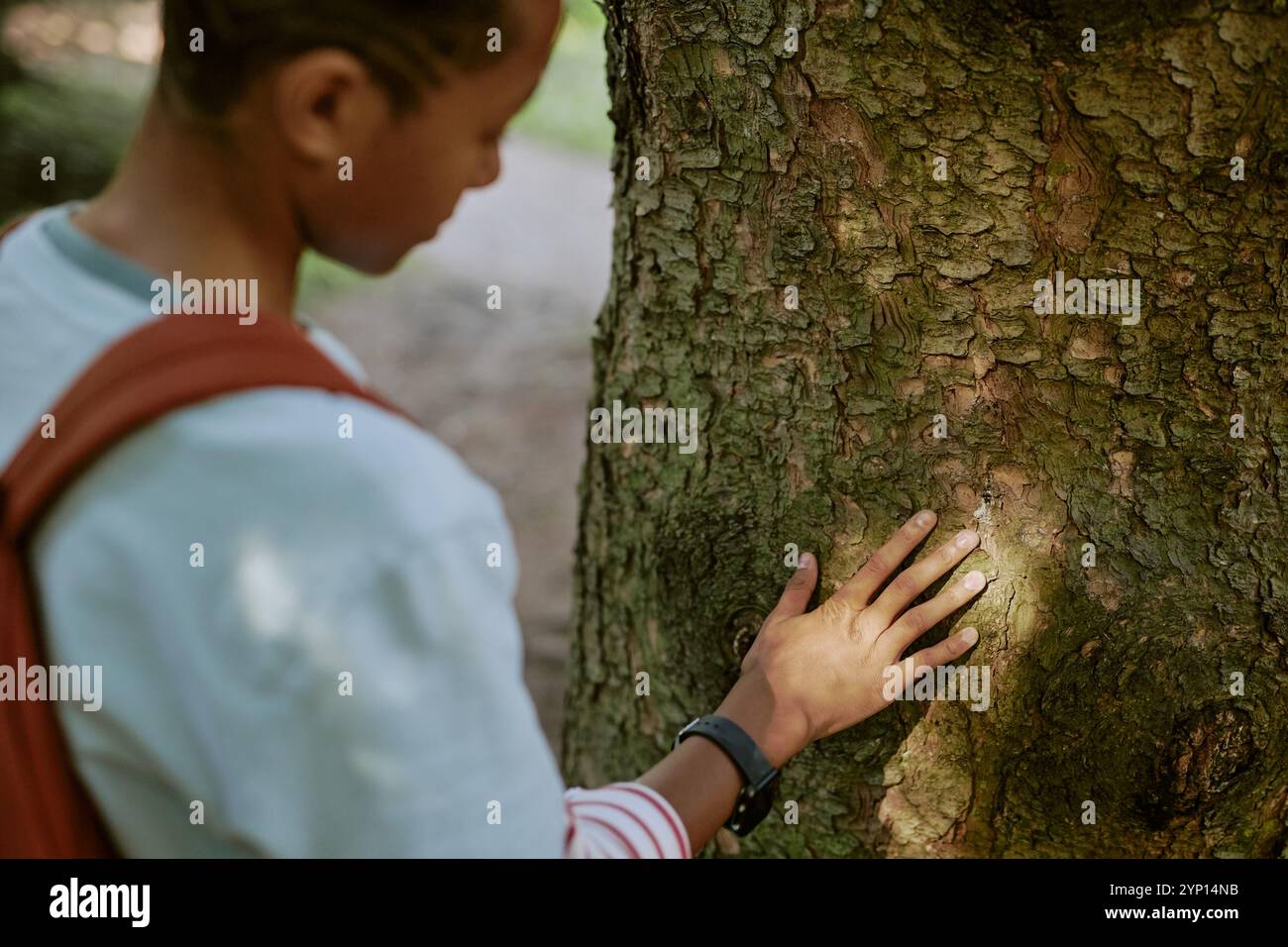 Teen Boy Touching Tree Trunk Stock Photo