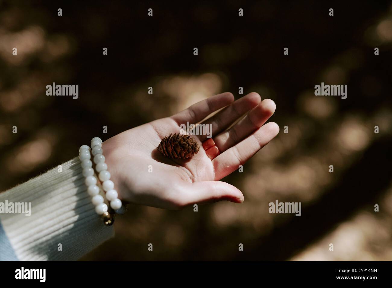 Small Cone In Girls Hand Stock Photo