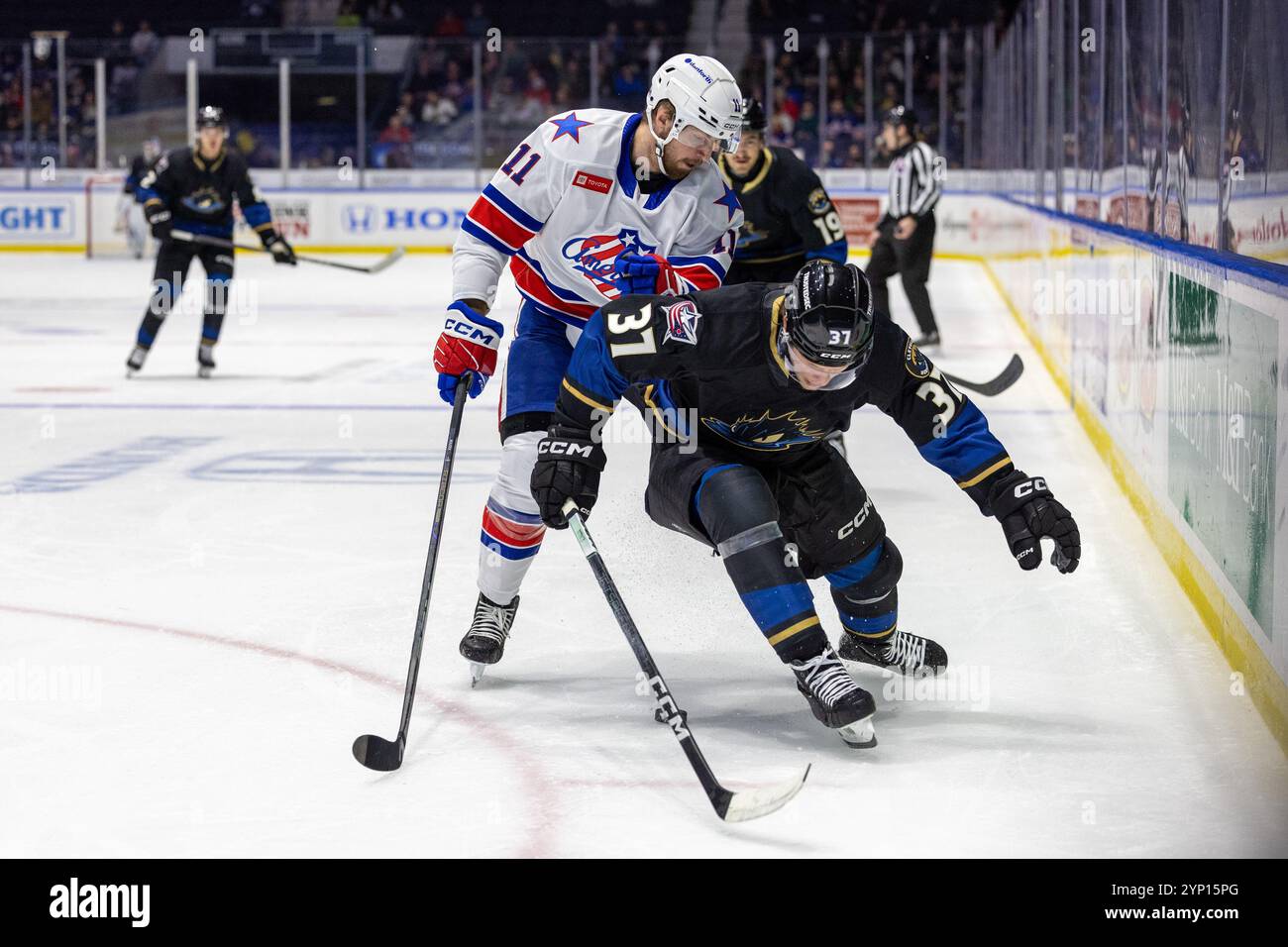 November 27th 2024: Rochester Americans forward Lukas Rousek (11) and ...