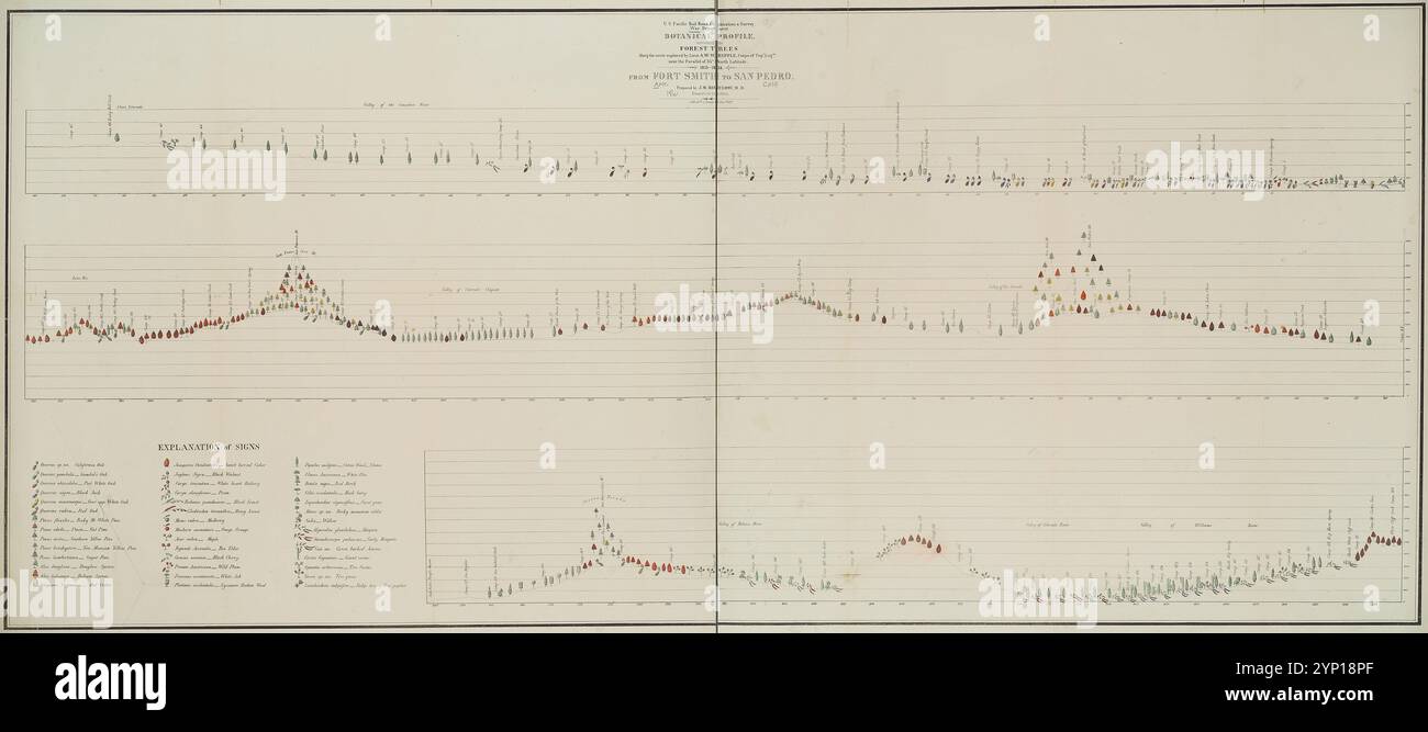 Botanical profile representing the forest trees along the route ...