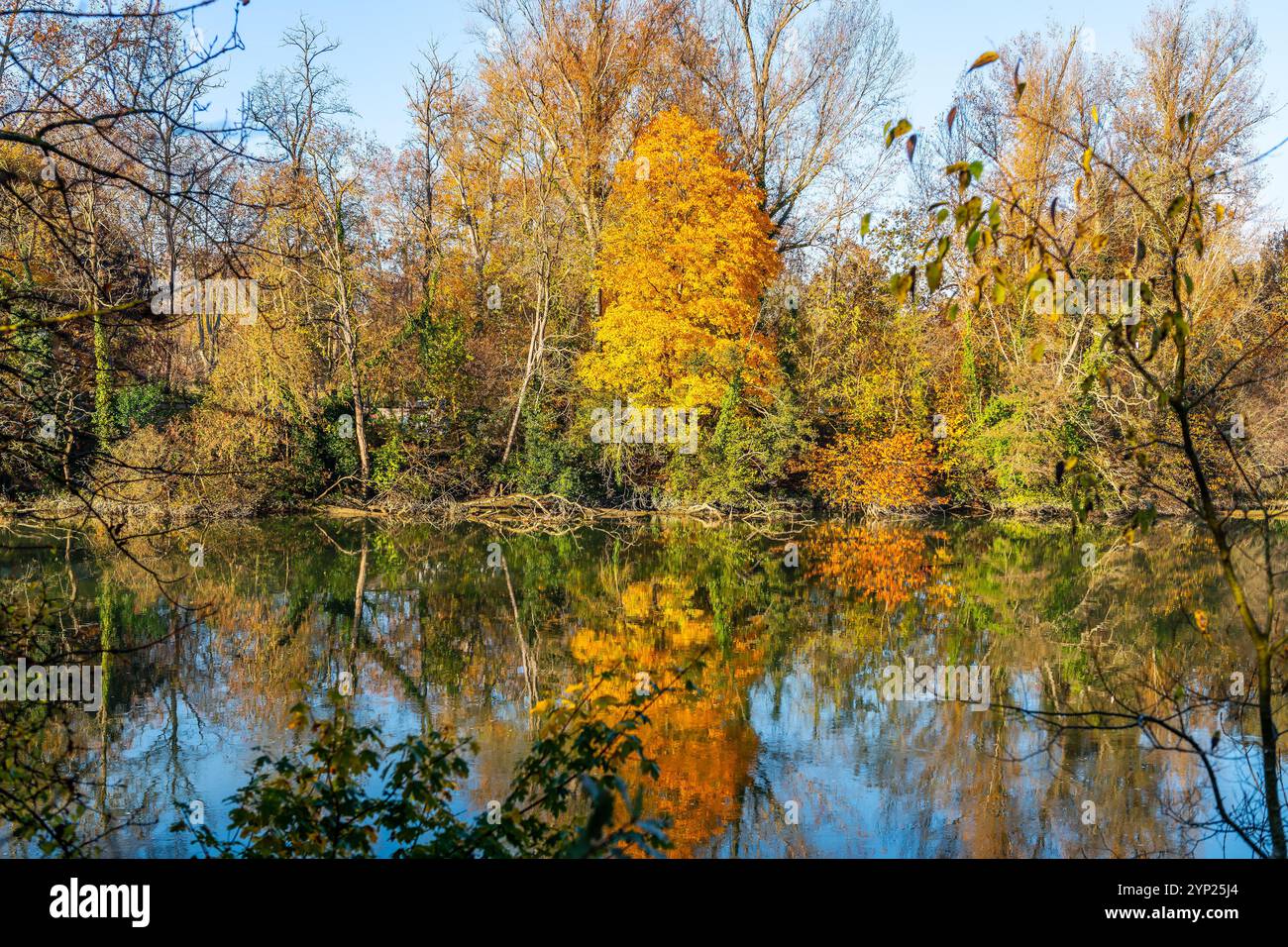 Fall foliage colors along the Garonne River near Toulouse in Occitanie, France. Stock Photo