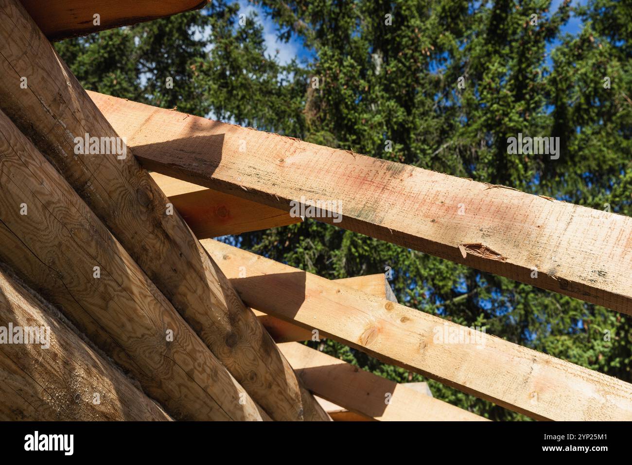 New rural house made of uncolored natural pine tree logs and boards ...