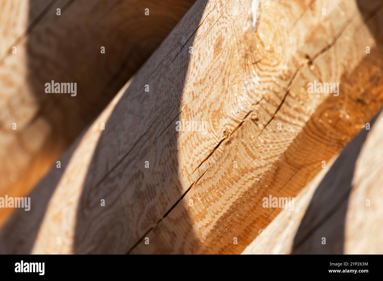 Roof rafters made of logs. Background photo with selective soft focus ...