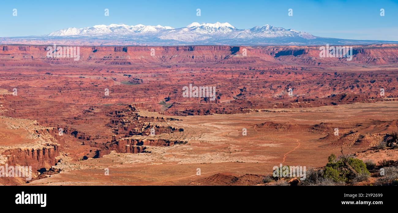 Amazing panoramic view of Canyonlands National Park and of the La Sal mountains, Utah. Deep canyons, colorful red cliffs and clear blue sky. Stock Photo