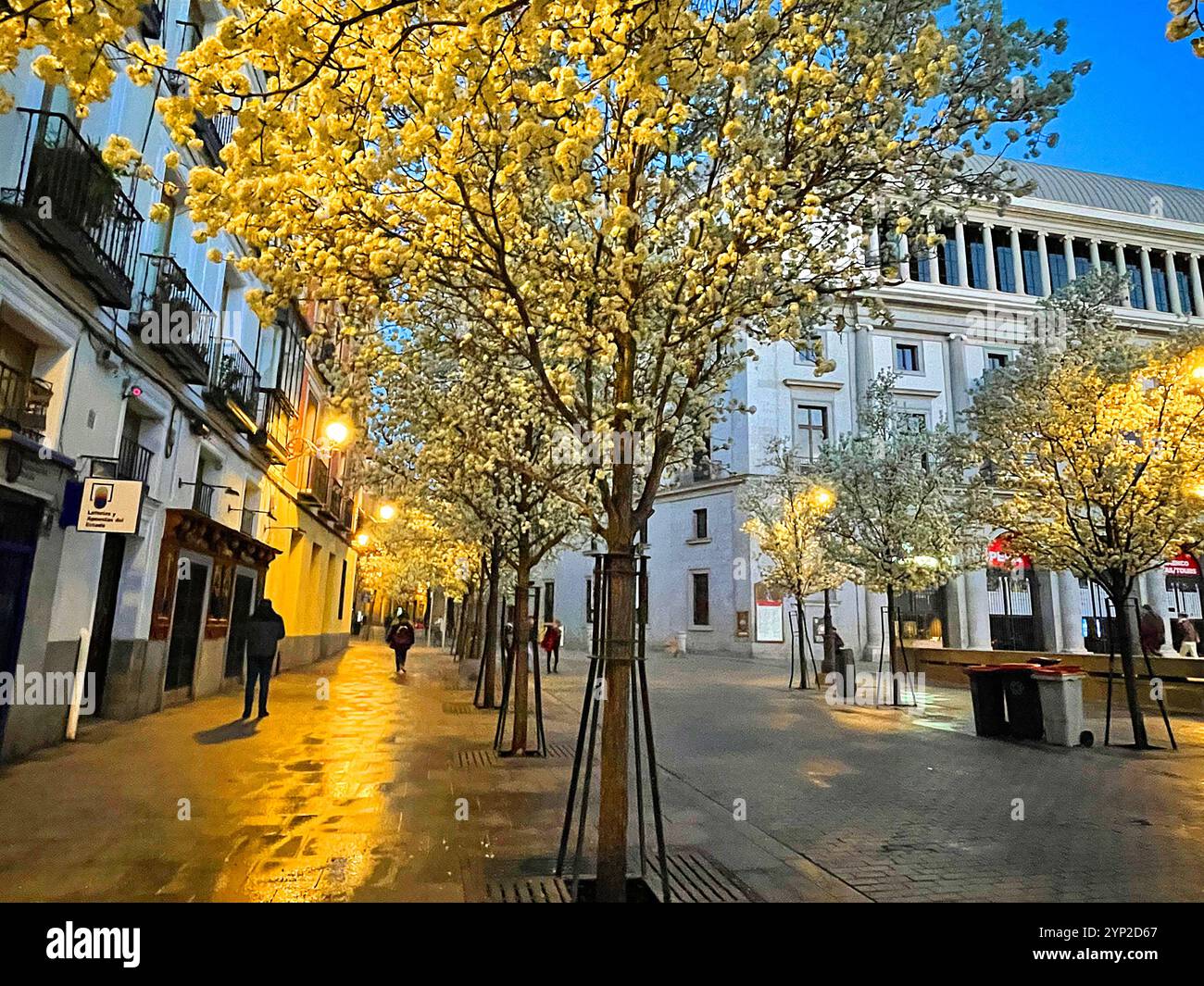Isabel II Square, night view. Madrid, Spain. - Smartphone Captured Stock Image