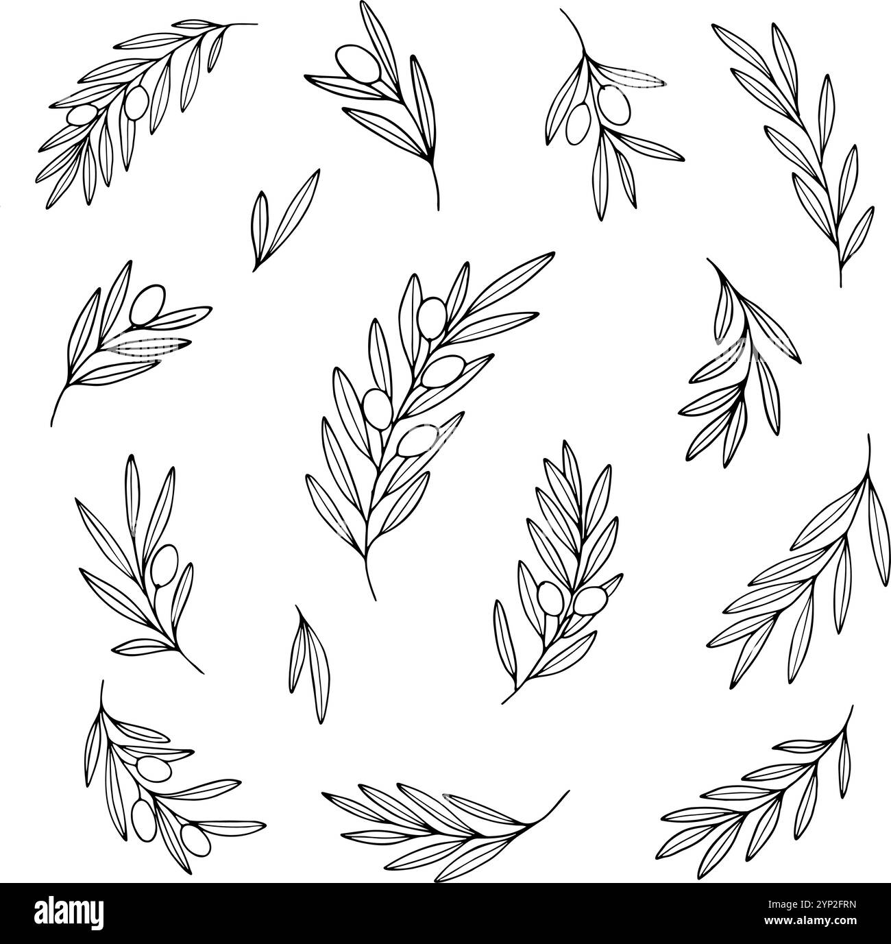 Vector set of olive branches and leaves. Hand drawn graphic ...