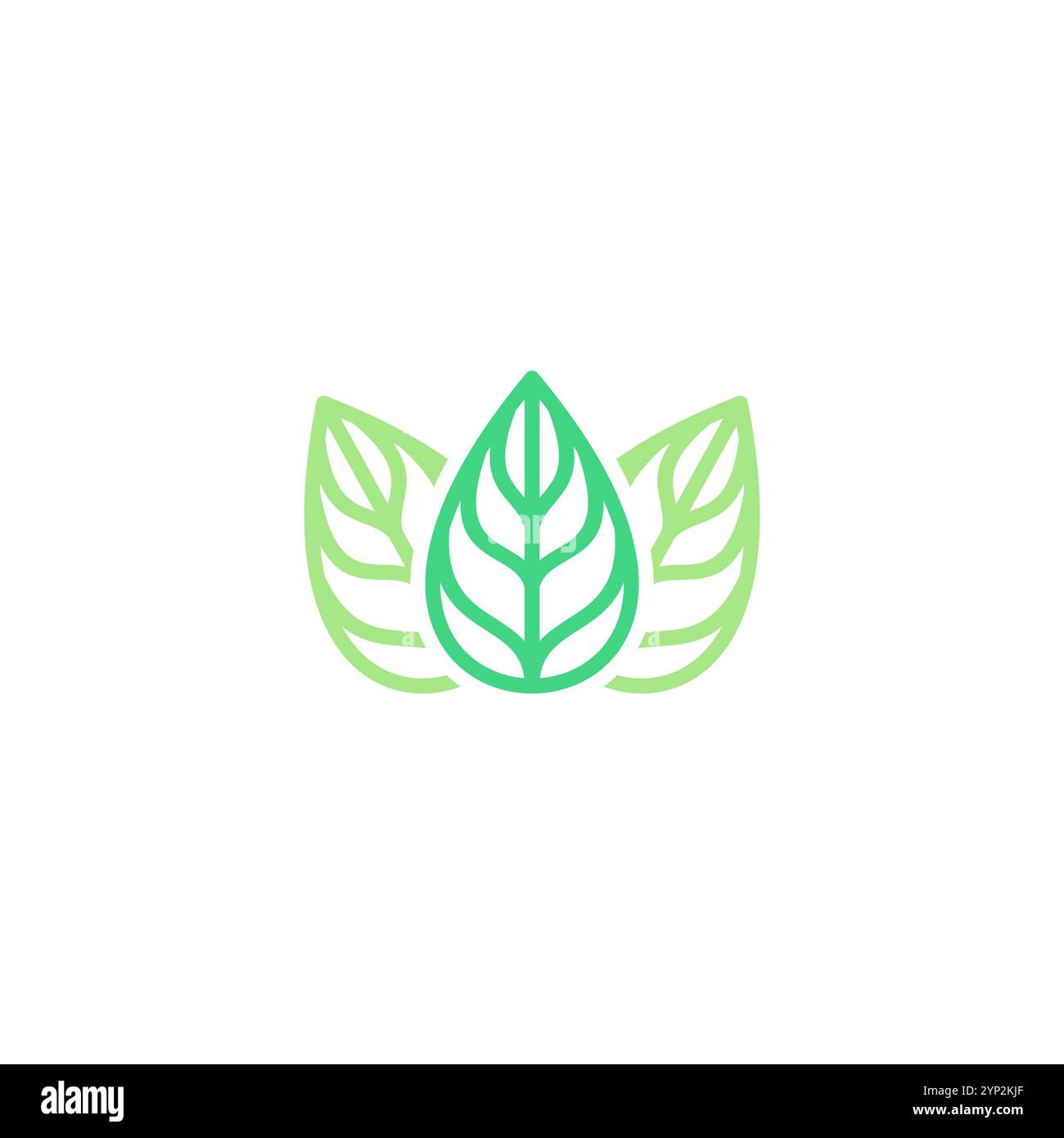 Three seed leaves Stock Vector Images - Alamy