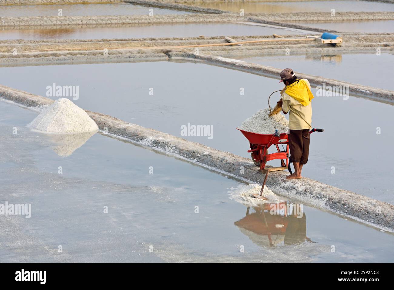 Worker loading wheel barrow with salt, Salt fields at Karangjahe, near ...
