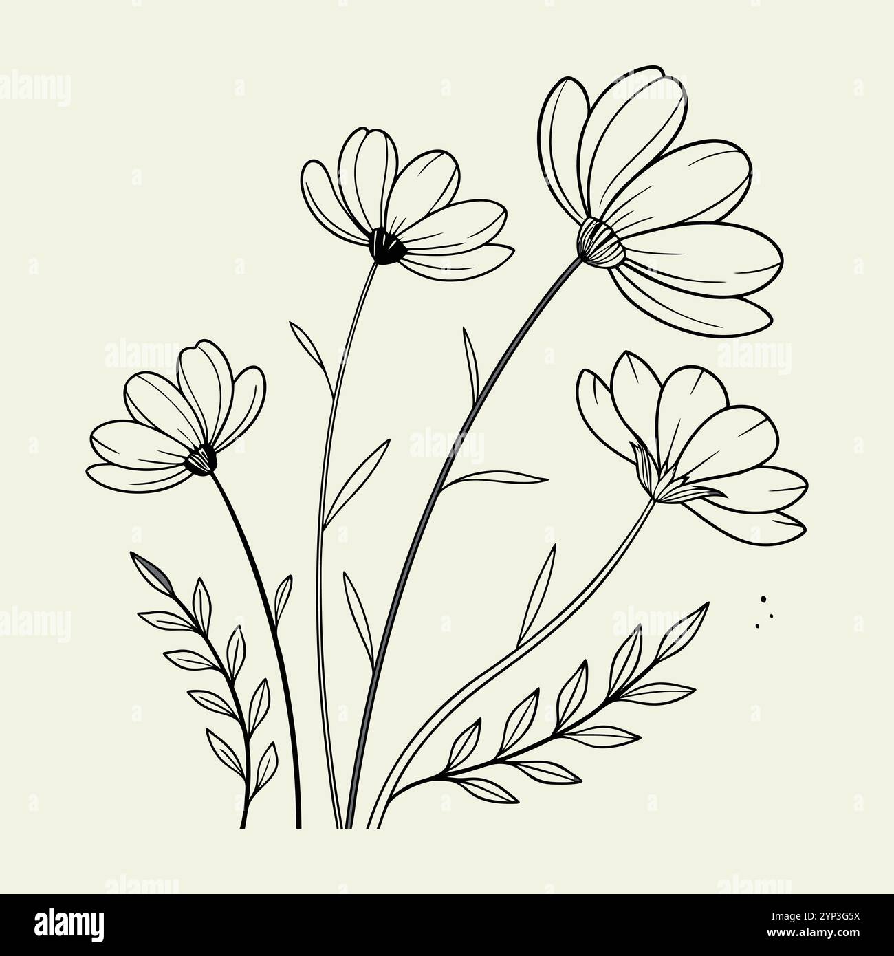 Black and white botanical illustration with simple line art flowers and ...