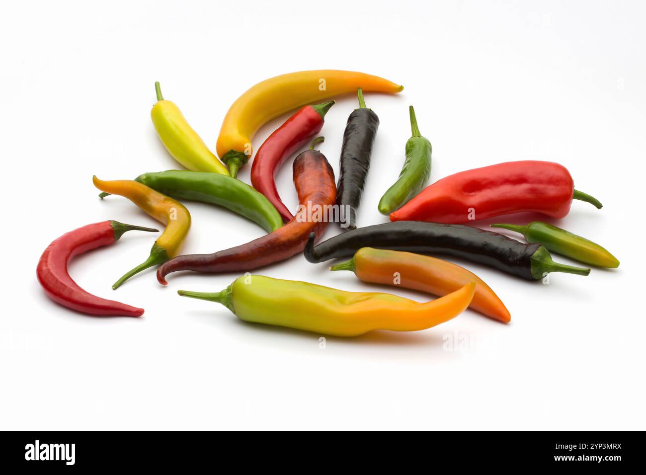 Peppers in red, green and mixed colors on a white background. Fresh and mixed edible chili peppers. Stock Photo