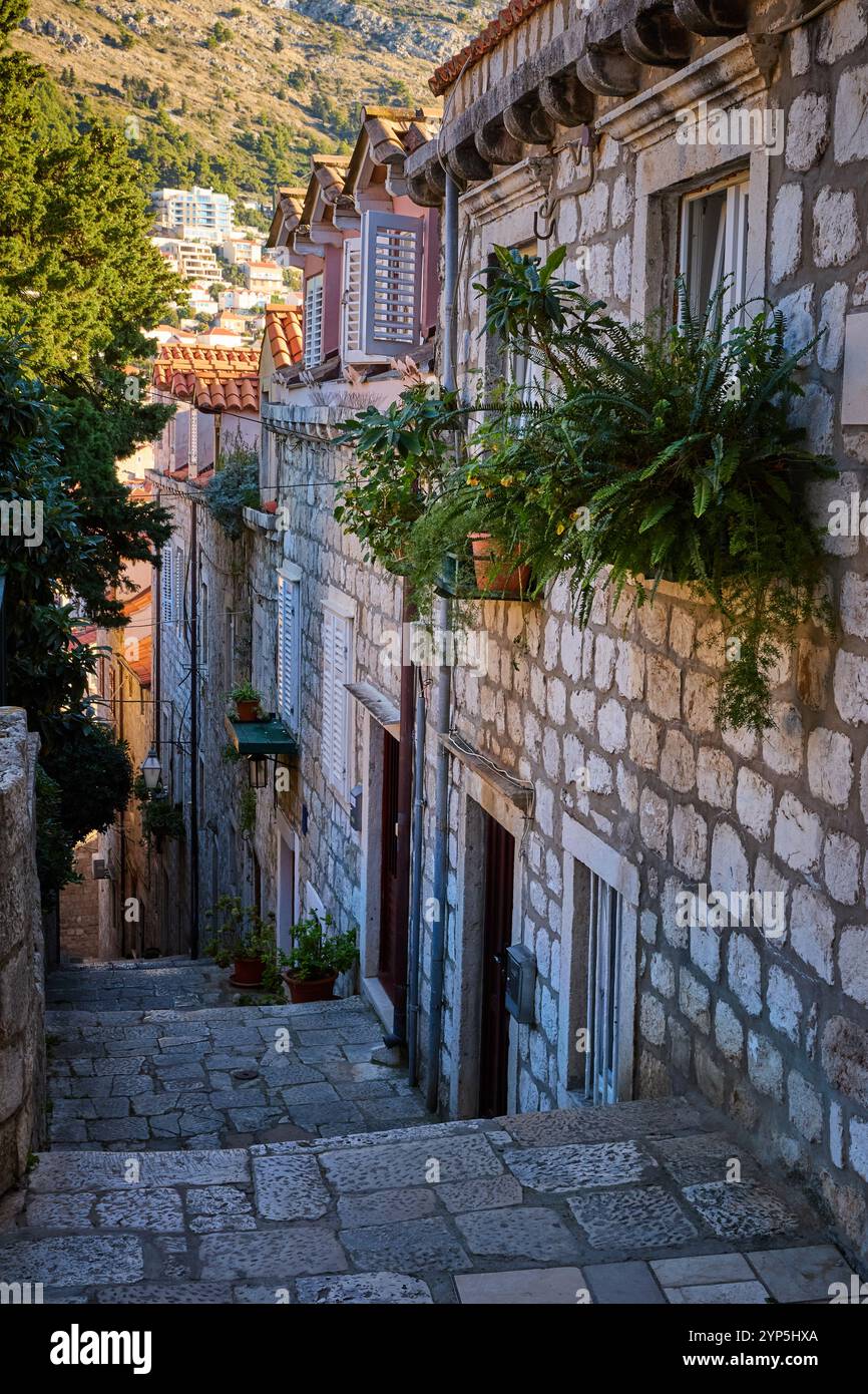 Street of Dubrovnik old town, Croatia Stock Photo
