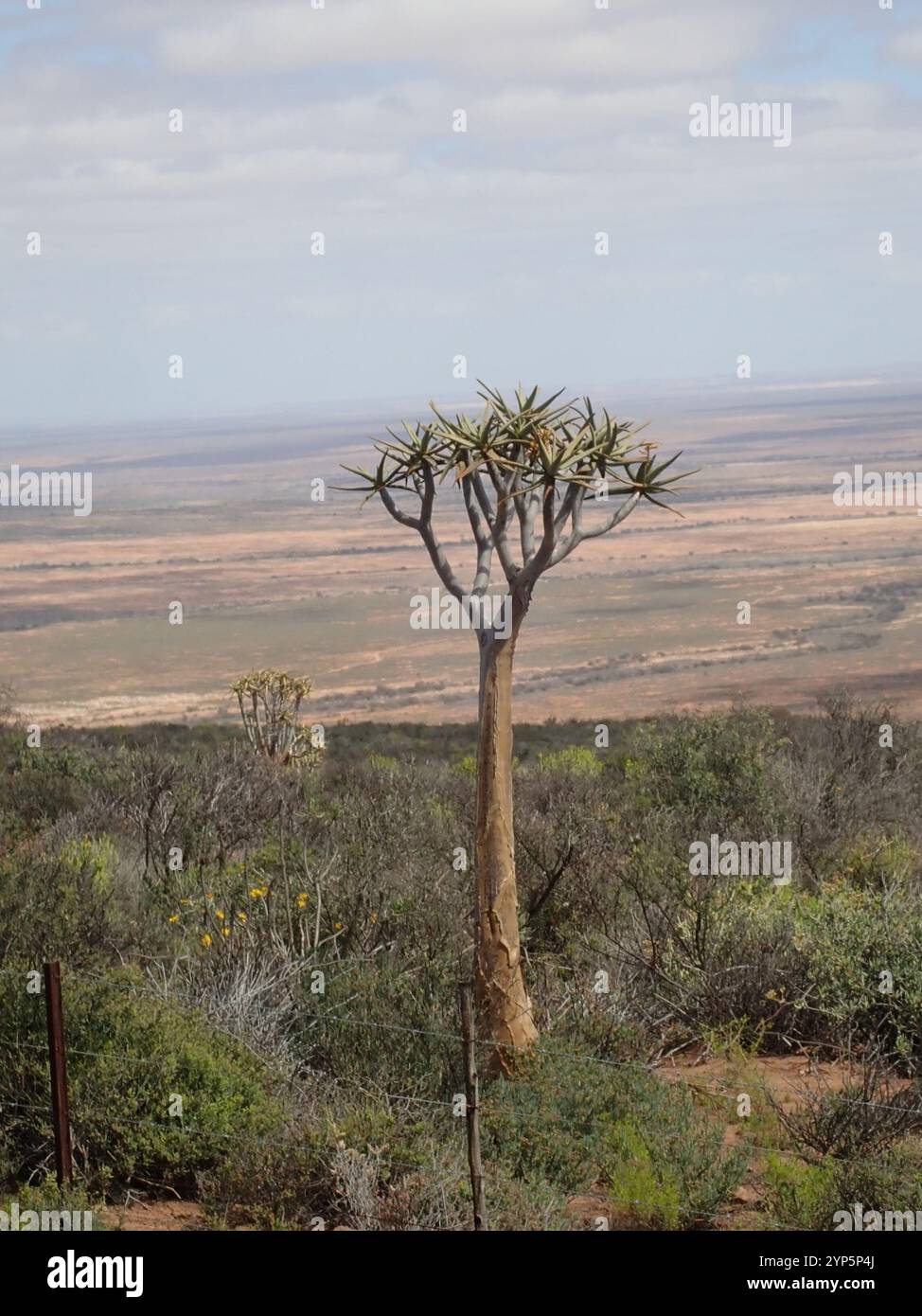 Converting TIFF to JPG in Java  javathinkingcom