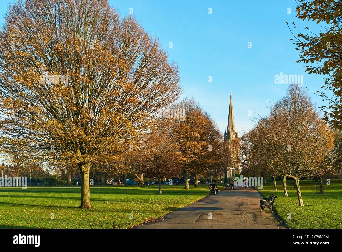 Clissold Park, Stoke Newington, London UK, in late autumn, with St Mary's church spire and autumn colours Stock Photo