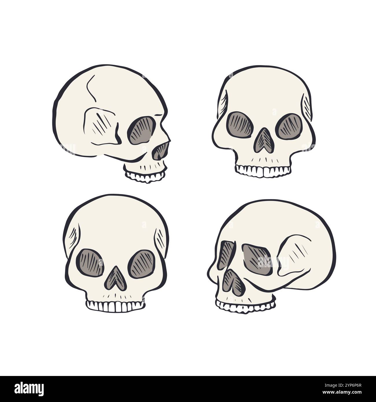 Hand drawn sketchy human skulls set isolated on white background Stock ...