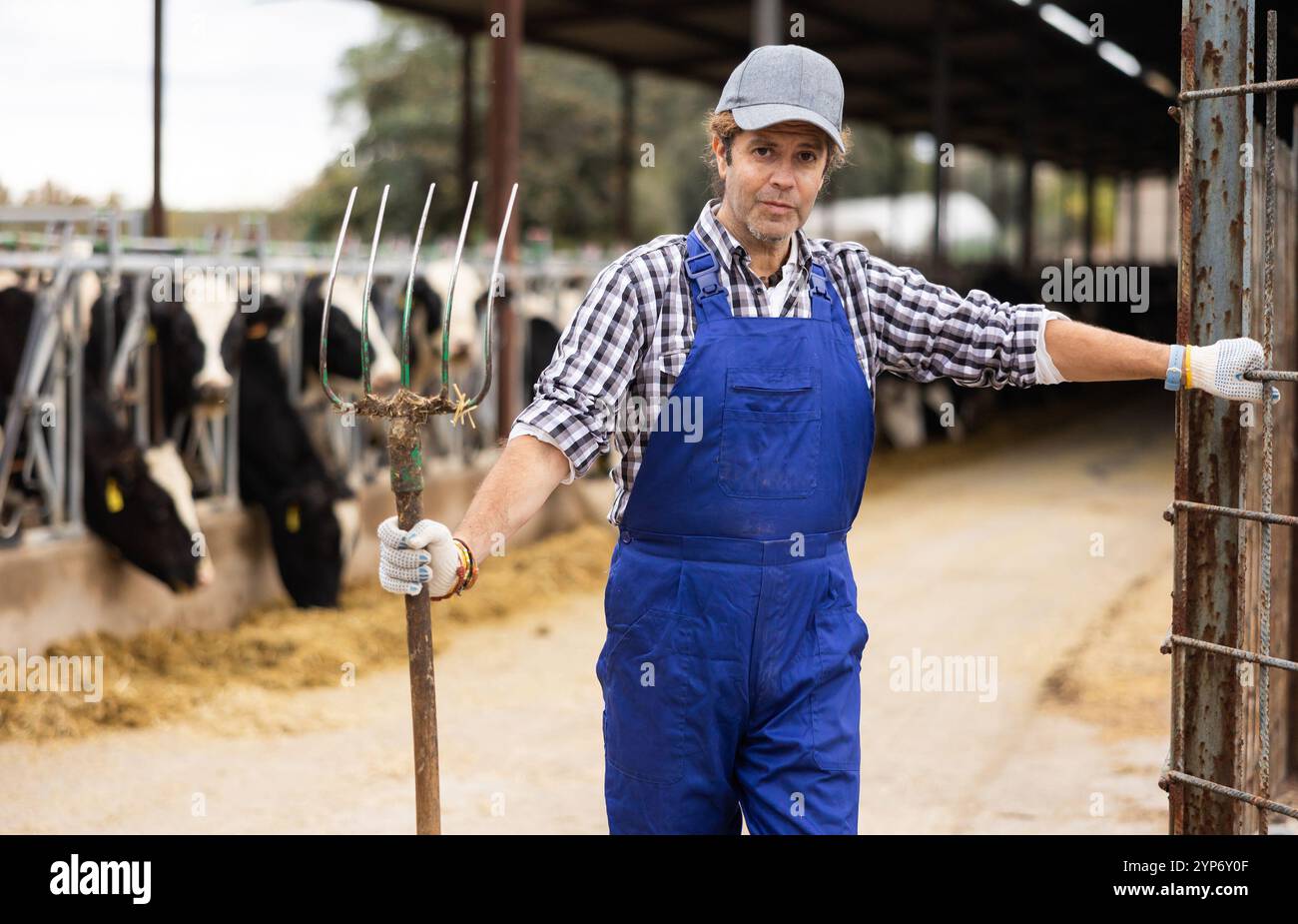 Farmer man stands with rake at cow farm Stock Photo - Alamy