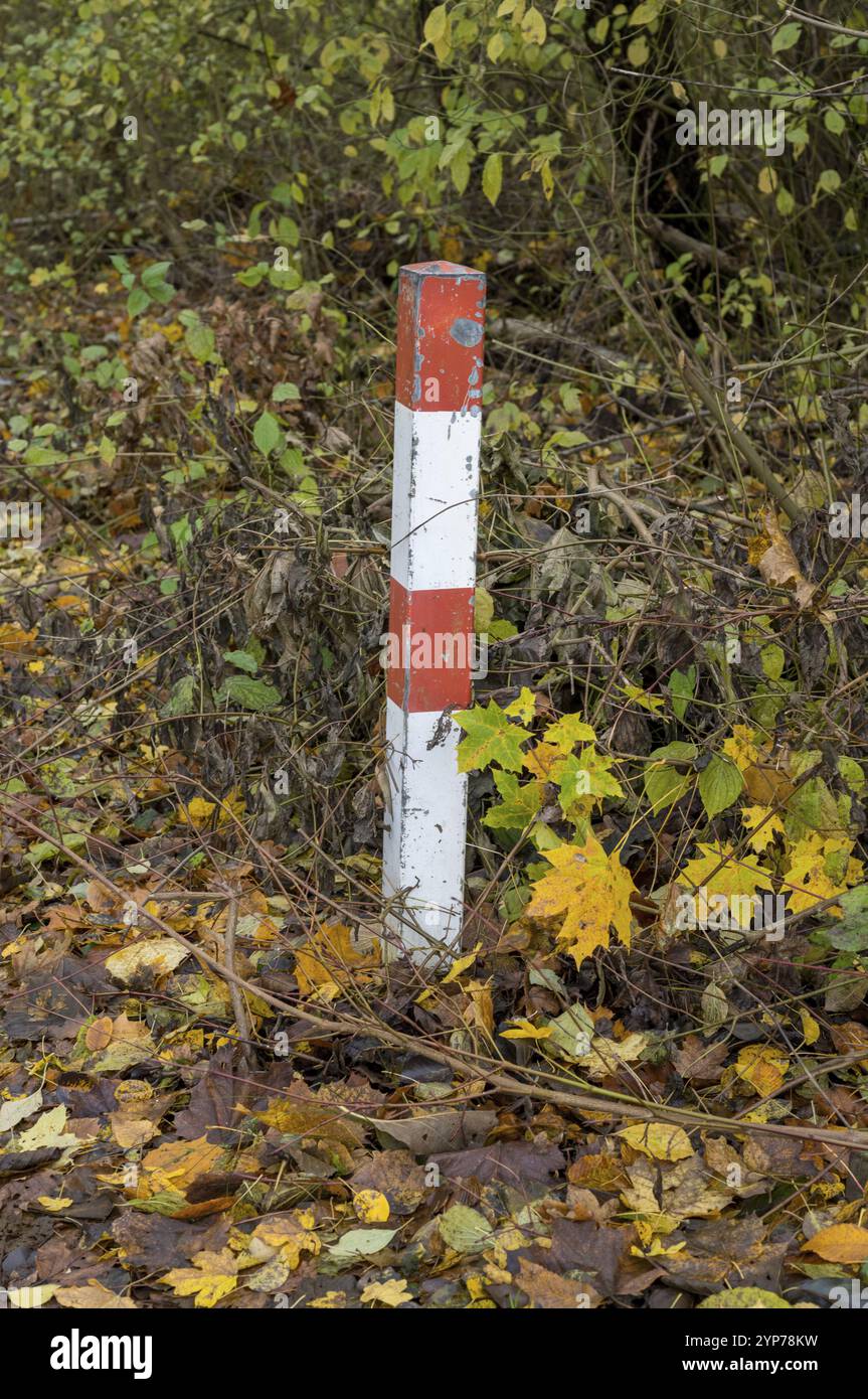 Red and white striped boundary post marking land property in autumn forest Stock Photo