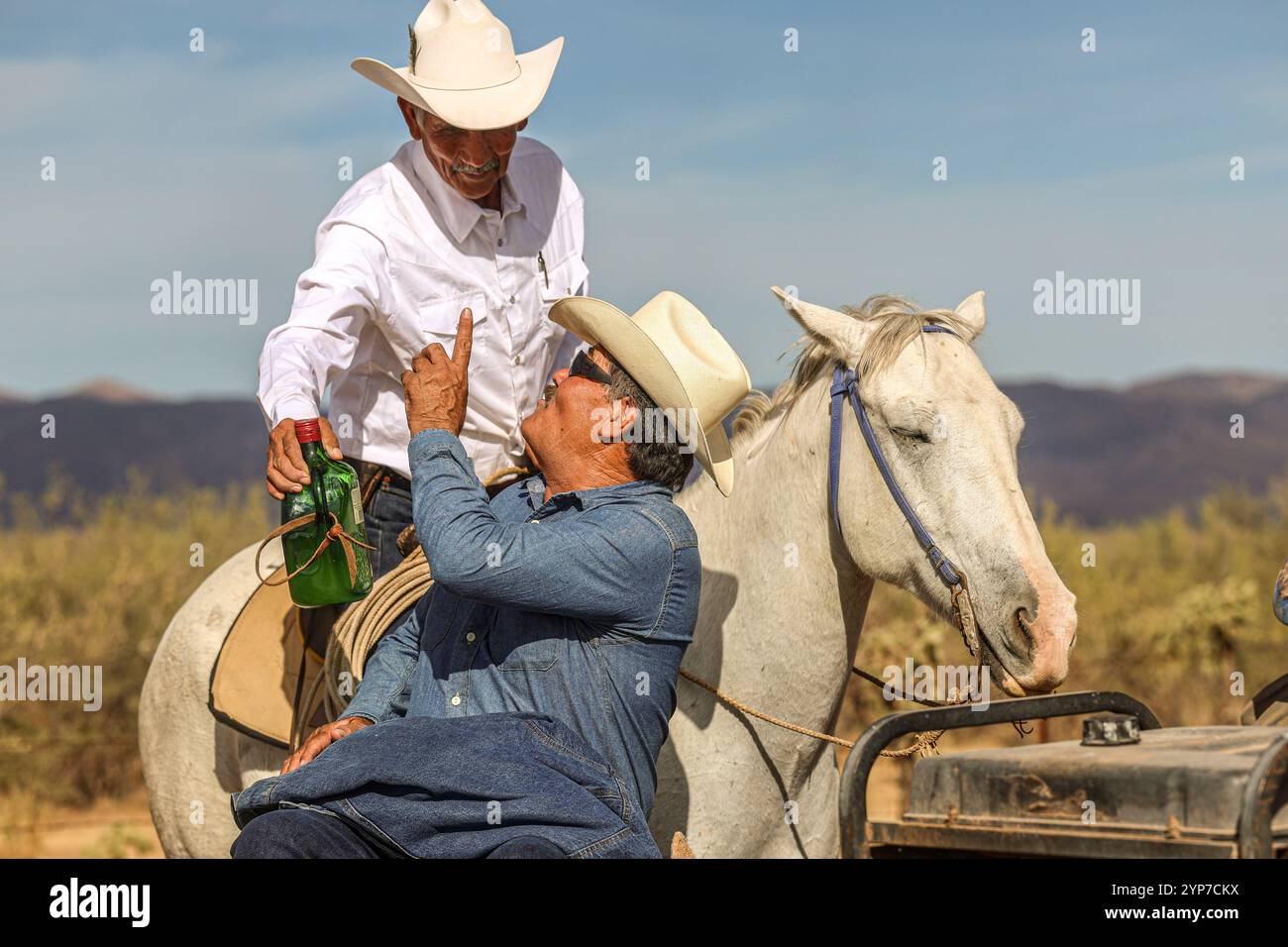 Cowboys on the Cristo Rey Horseback Ride to the town of La Puerta del Sol in Ures, Sonora, Mexico... Photo: Luis Gutierrez / NorthPhoto)..  Vaqueros en la Cabalgata al  Cristo Rey al pueblo La Puerta del Sol en Ures Sonora Mexico... Photo: Luis Gutierrez / NorthPhoto) Stock Photo