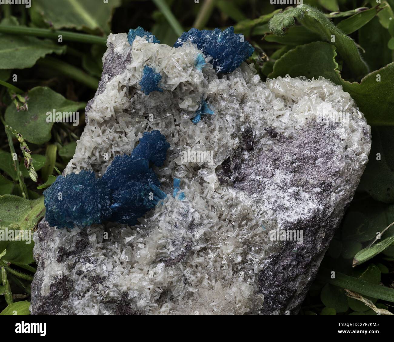 Stone Rackers Cavan Detailed stone textures display hi-res stock photography and images - Alamy