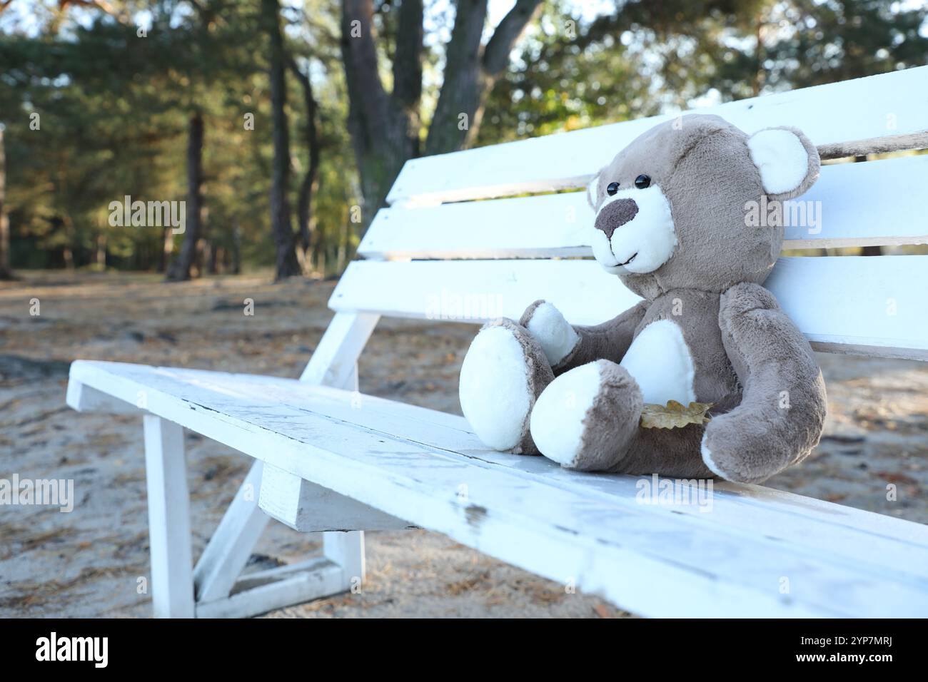 Teddy bear on bench hi-res stock photography and images - Alamy