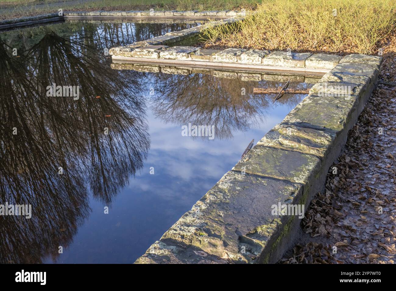 Sky and trees reflecting in pond hi-res stock photography and images ...