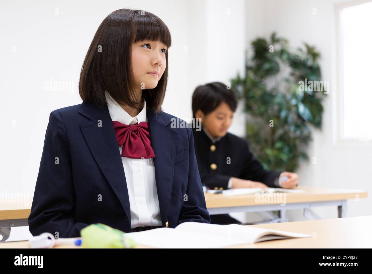 Junior high school students studying at a cram school Stock Photo - Alamy