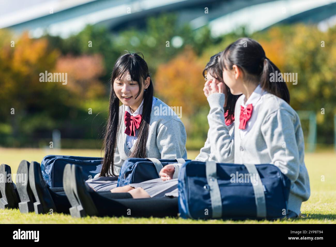 High school student sitting on lawn Stock Photo - Alamy