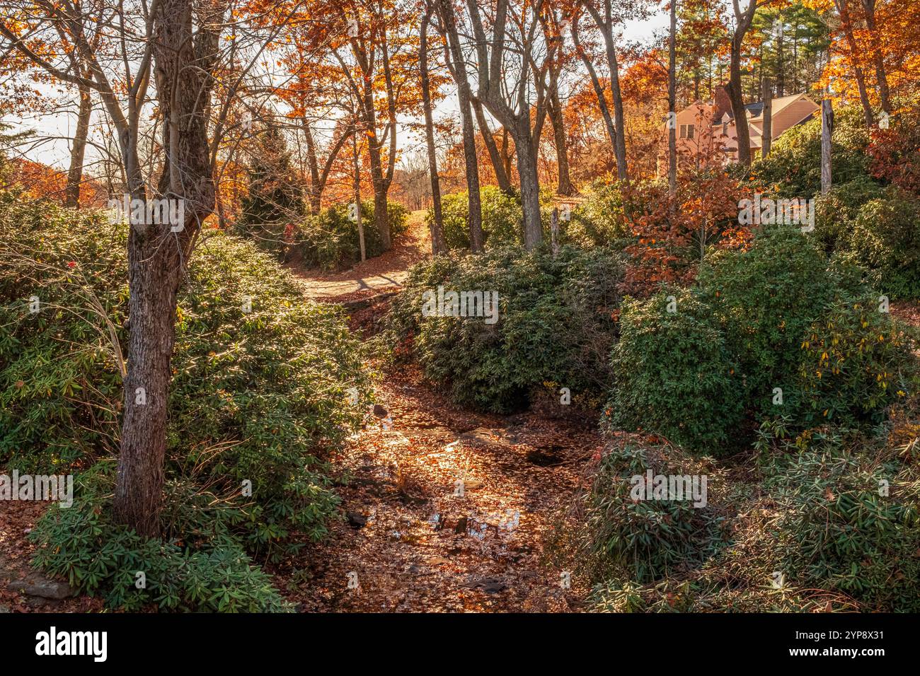 Moore State Park in Paxton, Massachusetts Stock Photo - Alamy