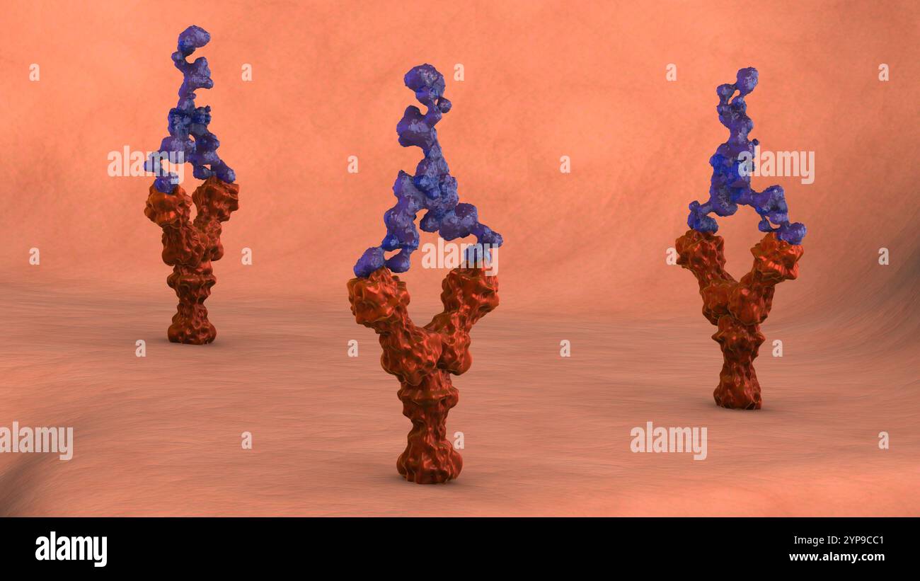 Human cell receptors hi-res stock photography and images - Alamy