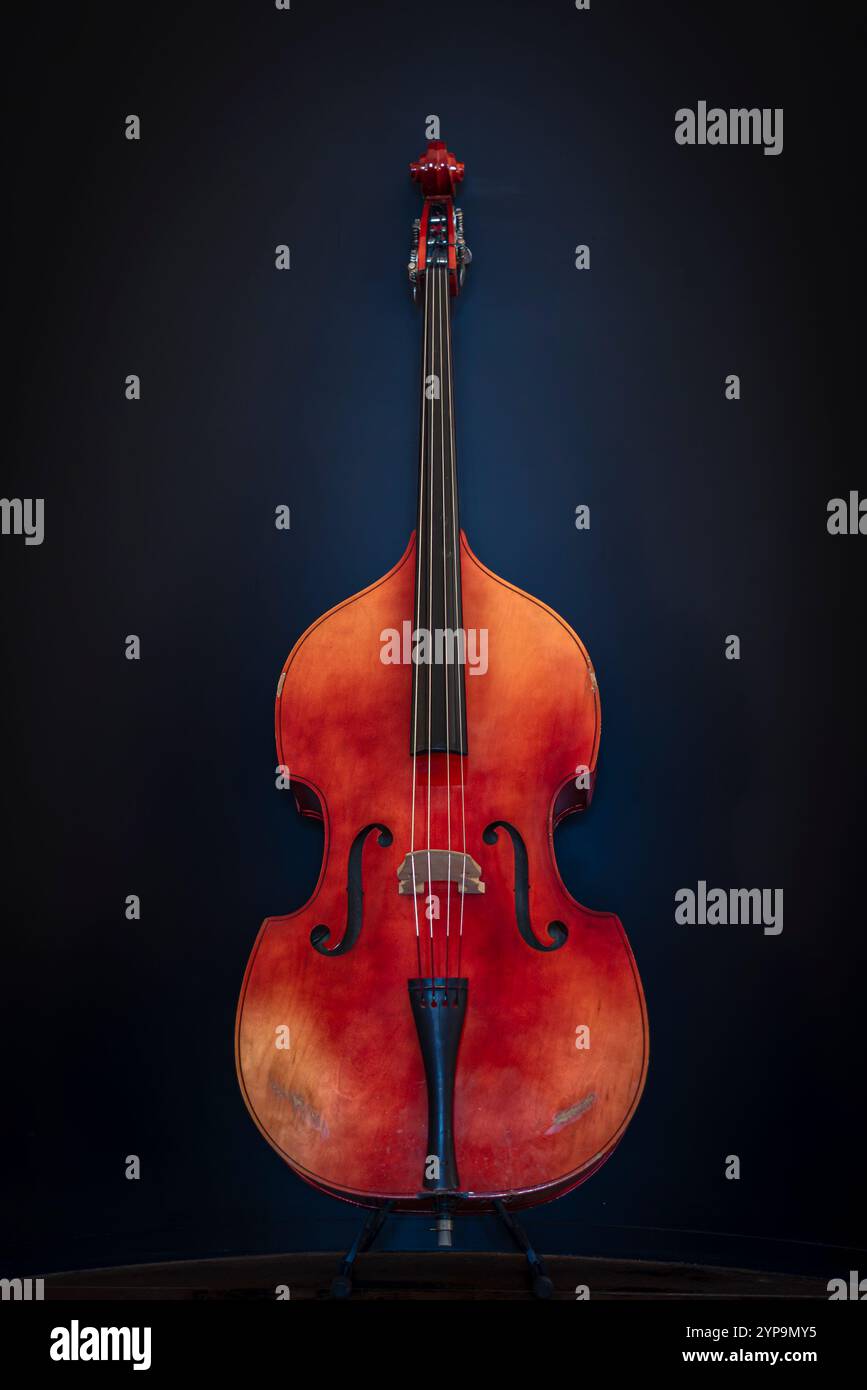 Cello, the bigger of the stringed instruments. Stock Photo
