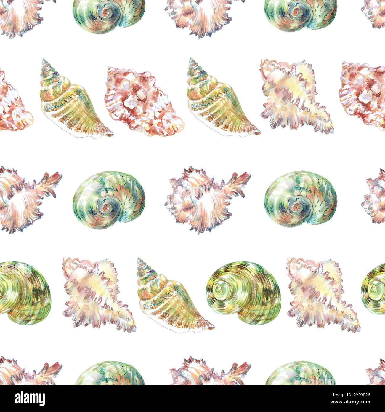 Shell pattern underwater world in watercolor. Murex Endivia, Voluta ...