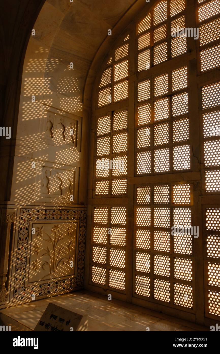 GETTING AROUND TAJ MAHAL visual data 5