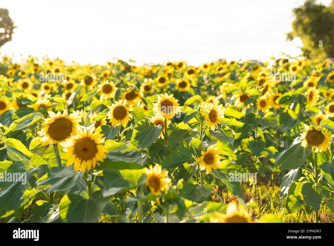 Serene natural wonder hi-res stock photography and images - Alamy