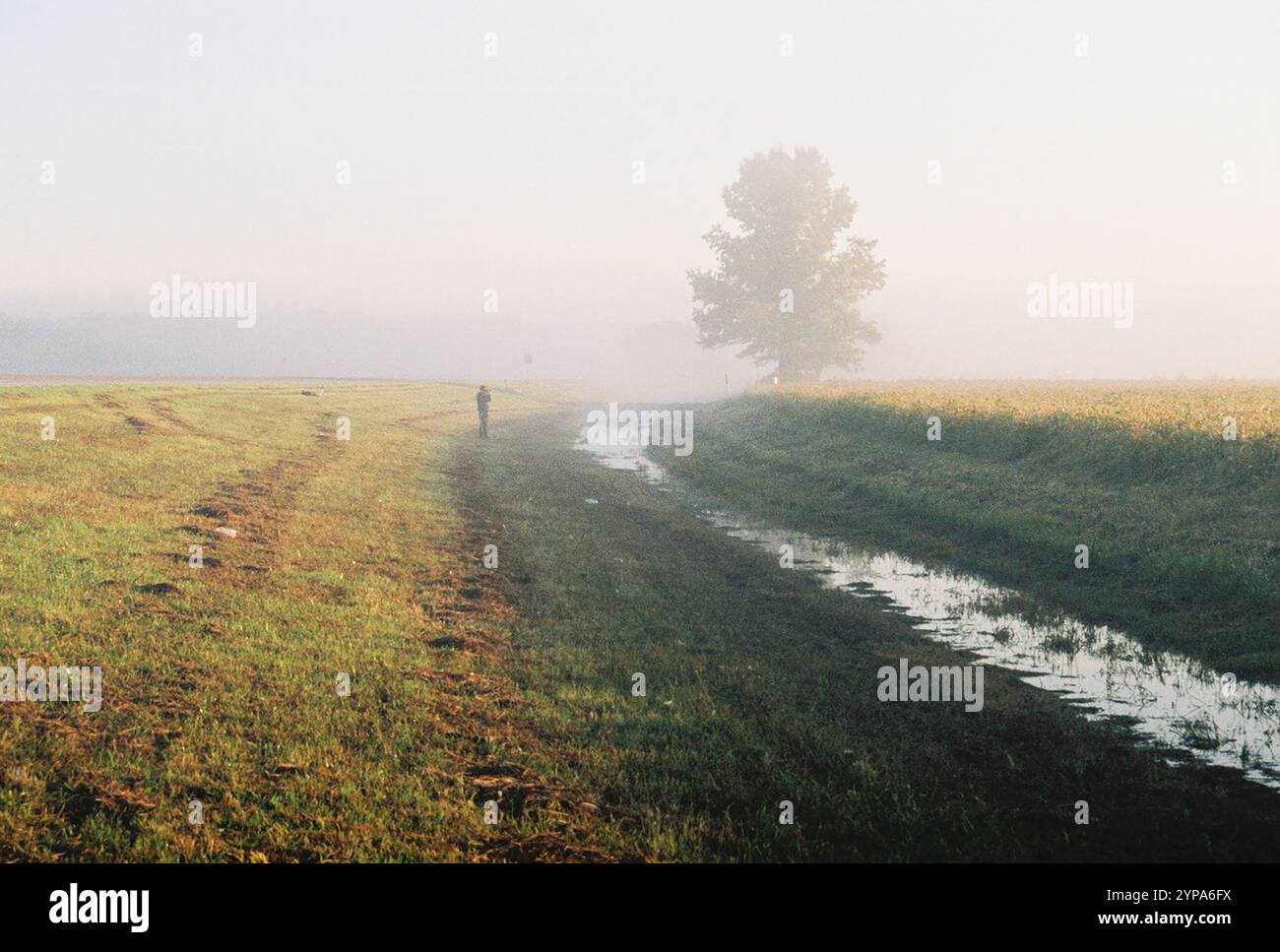 35MM Photographer Standing outside Soybean Field in Southern Illinois Stock Photo