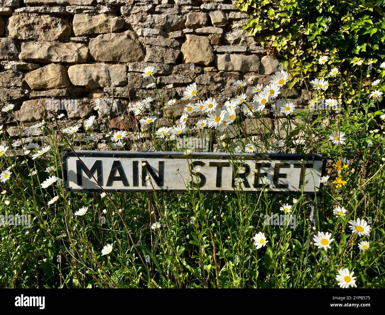 'Main Street' street sign surrounded by wild flowers, north Yorkshire, UK - Smartphone Captured Stock Image