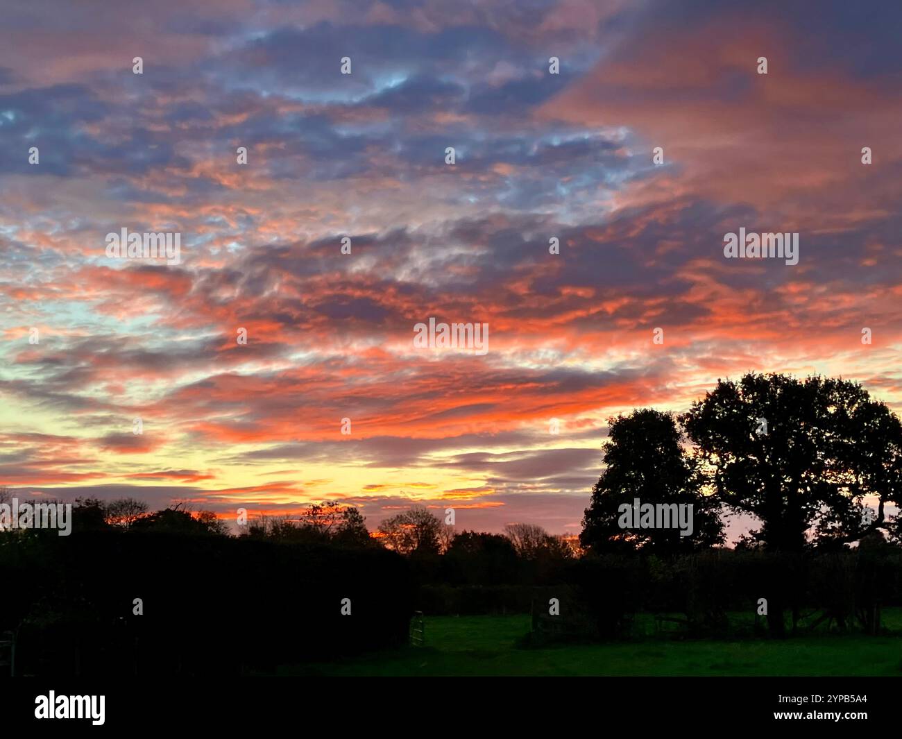 Sunset sky over a line of trees, Womersley, North Yorkshire, UK - Smartphone Captured Stock Image