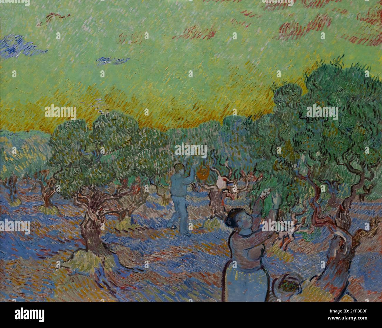 Vintage 1987 Van Gogh Vintage 1987 Van Gogh