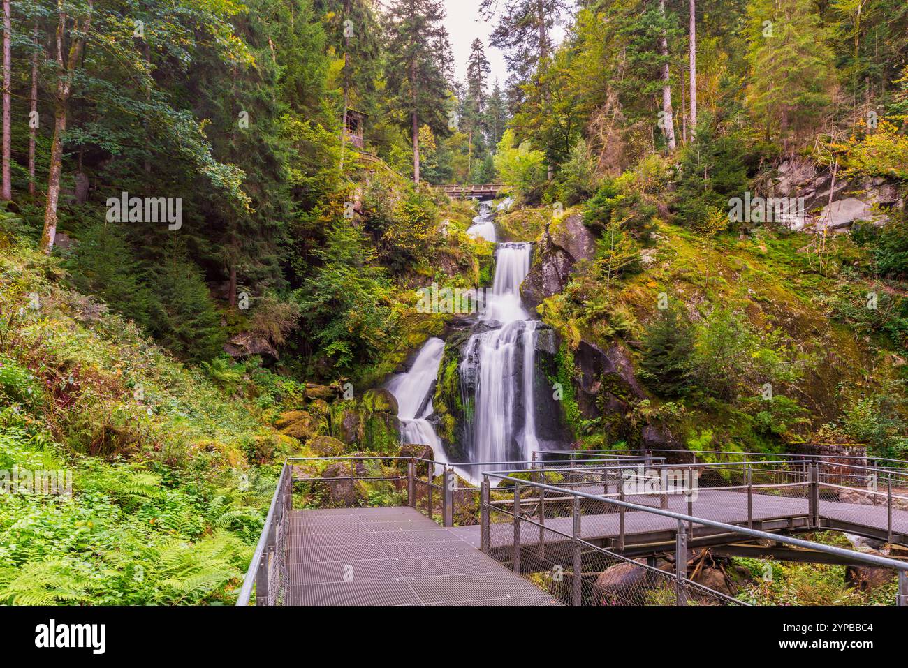 Triberg Waterfalls In Triberg In The Black Forest In Germany With A Triberg Waterfalls In Triberg In The Black Forest In Germany With A