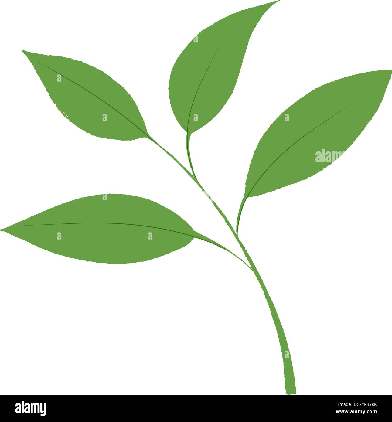 Leaf for the Holiday Season. Autumn Gratitude Simple Thanksgiving Leaf