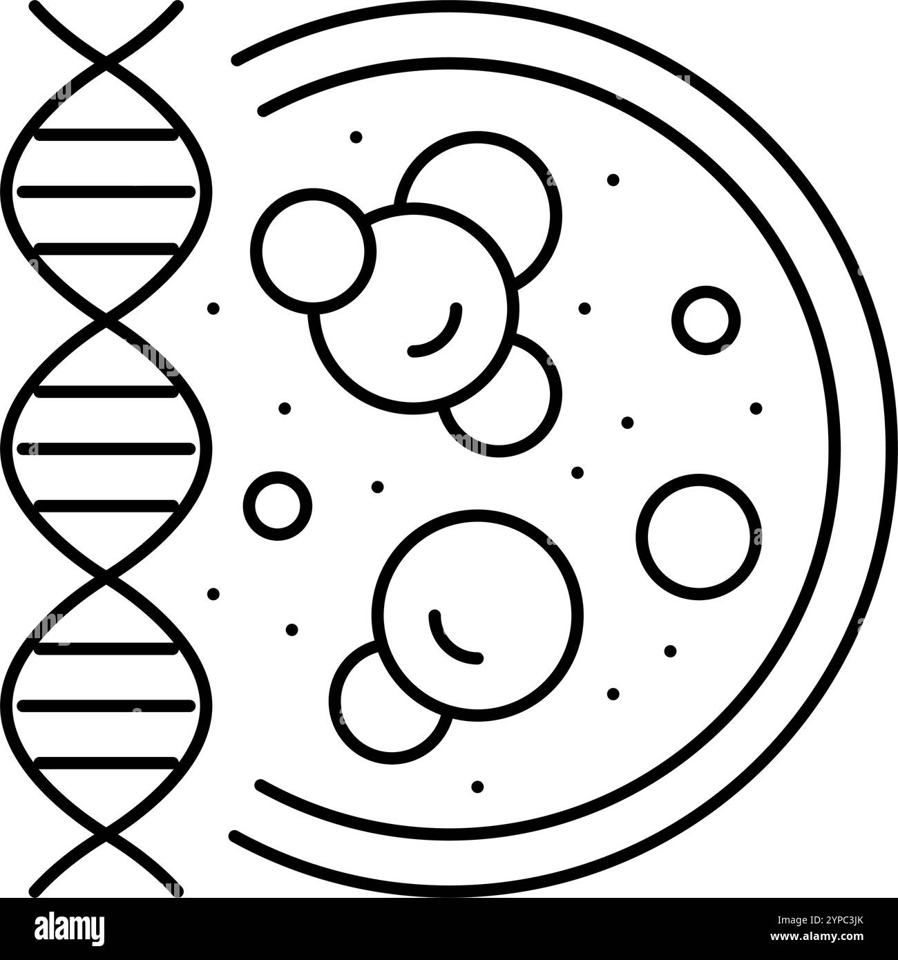 molecular biology cryptogenetics line icon vector illustration Stock ...