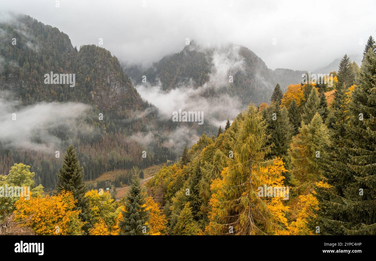 Serene fall fog envelops hi-res stock photography and images - Alamy