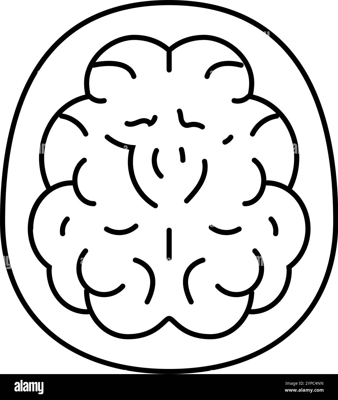 neuroimaging neuroscience neurology line icon vector illustration Stock ...