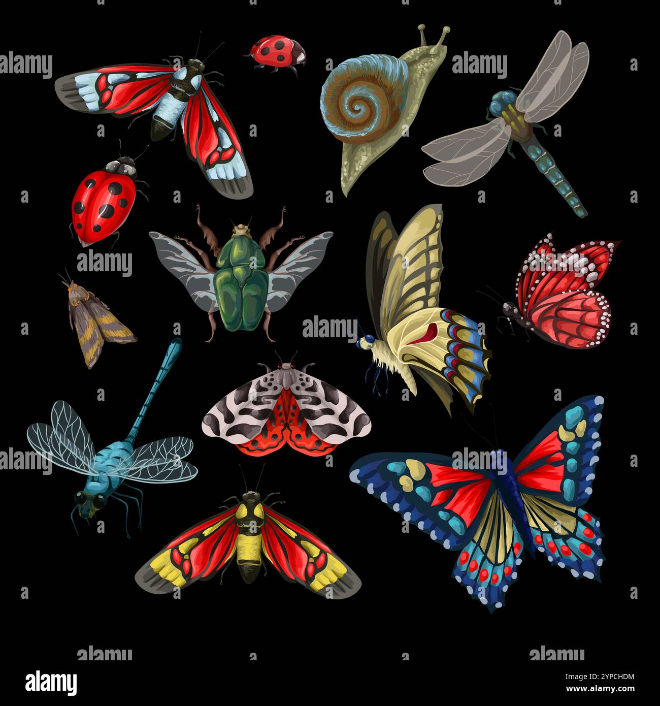 Different Insect Vector Different insects such as butterly, bugs, dragonly, snail etc. Vector ...