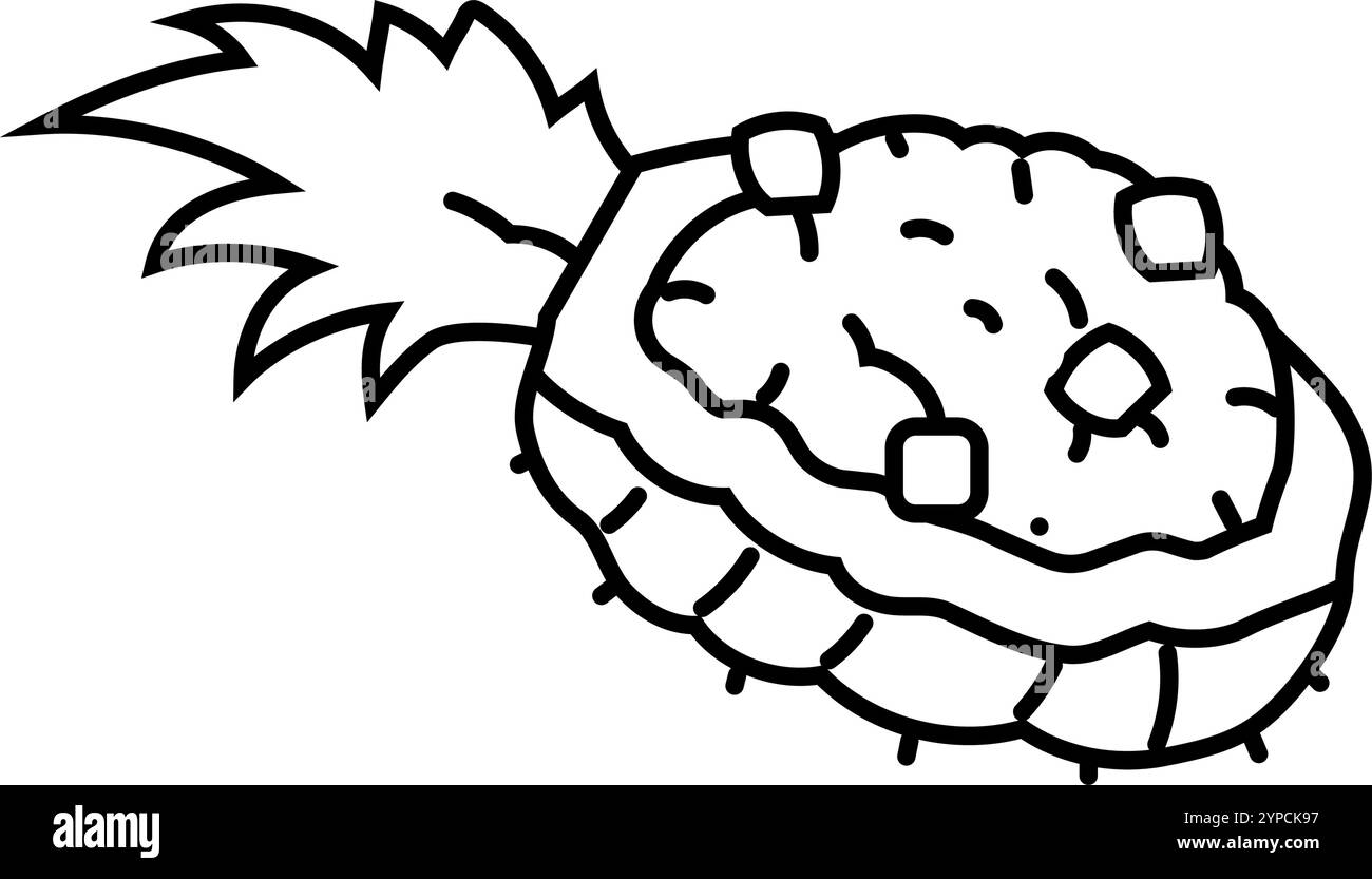 Pineapple top view Black and White Stock Photos & Images - Alamy