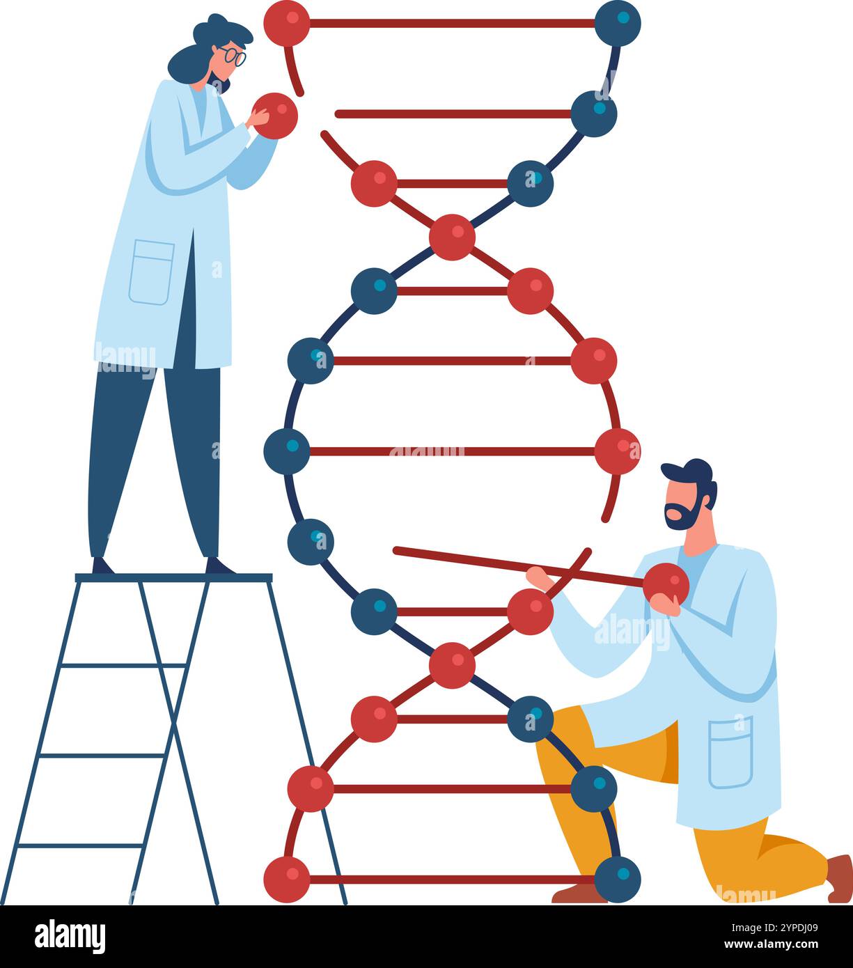 Two scientists building a dna model are conducting genetic research, exploring the field of biotechnology and making advancements in science Stock Vector
