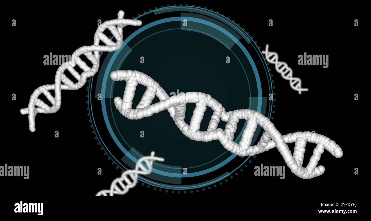 DNA strands and circular digital interface, scientific image Stock Photo