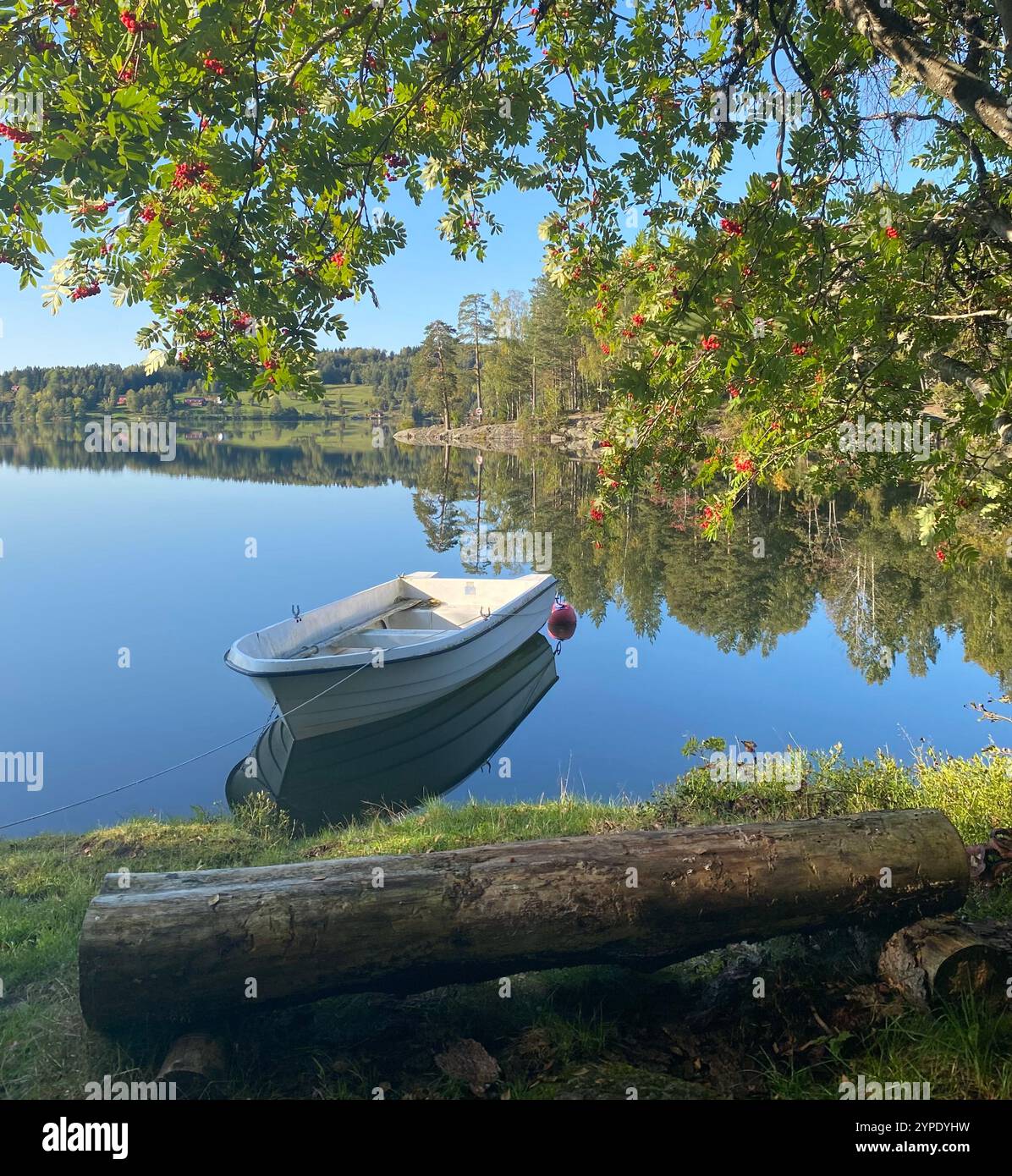 Norwegian Rune Sign - Smartphone Captured Stock Image