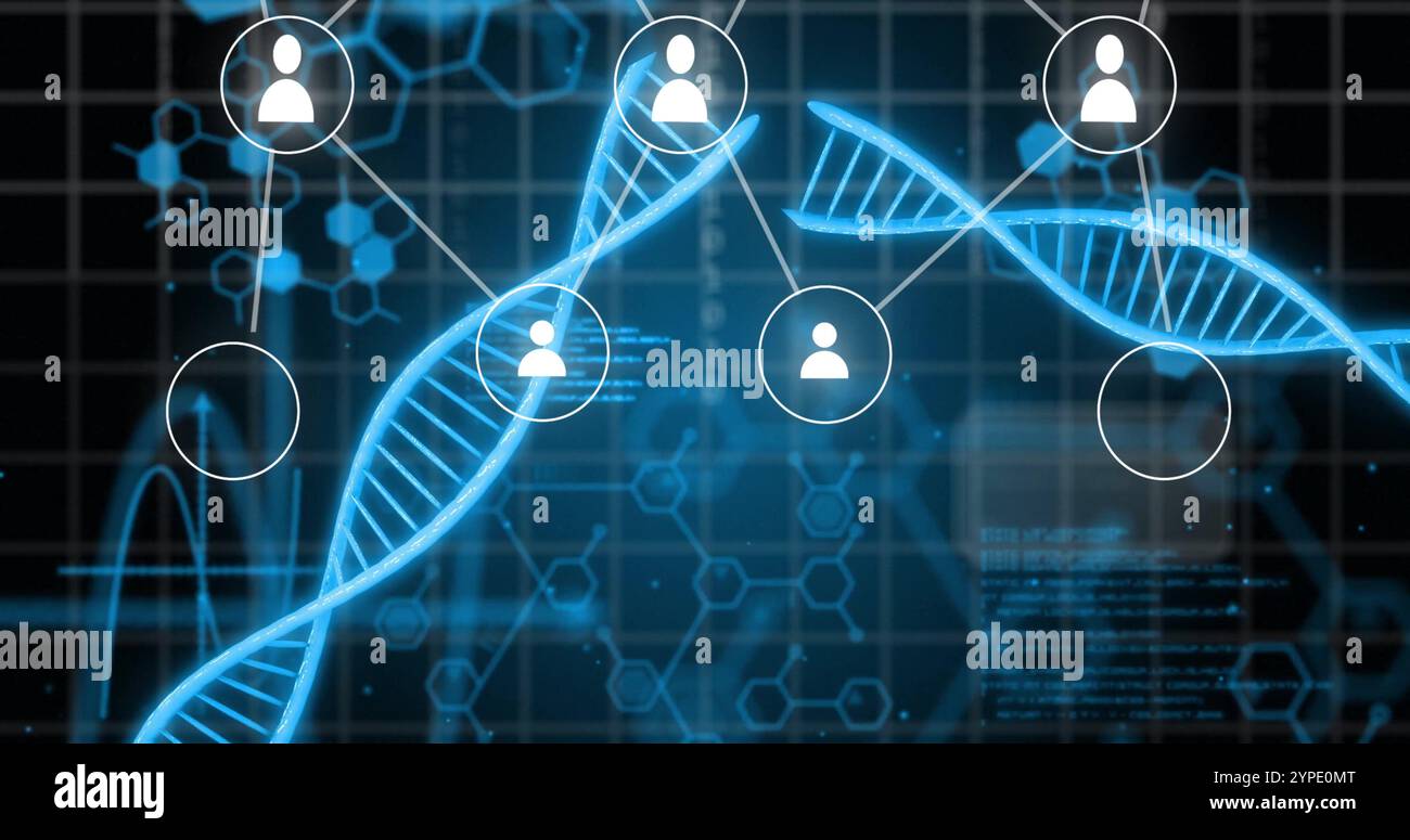 Image of people icons, connections and data processing over dna stands and binary coding Stock Photo