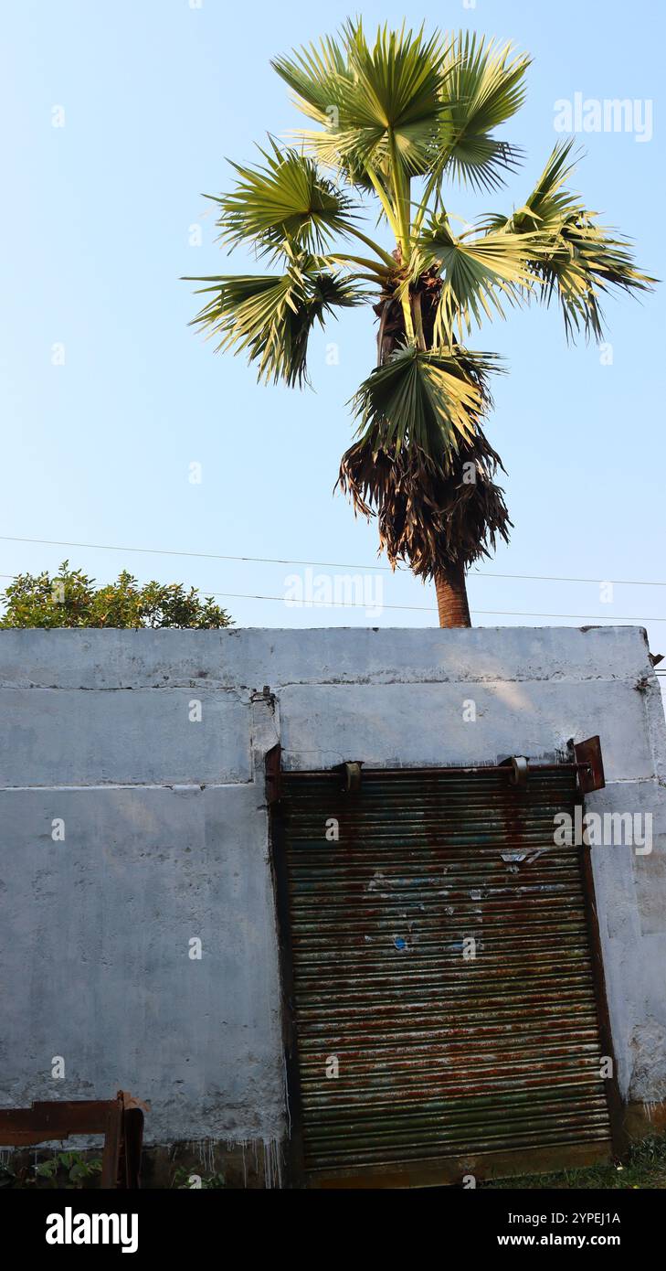 Old Rusty Metal Roll-Up Door In An Urban Setting Outdoors Stock Photo